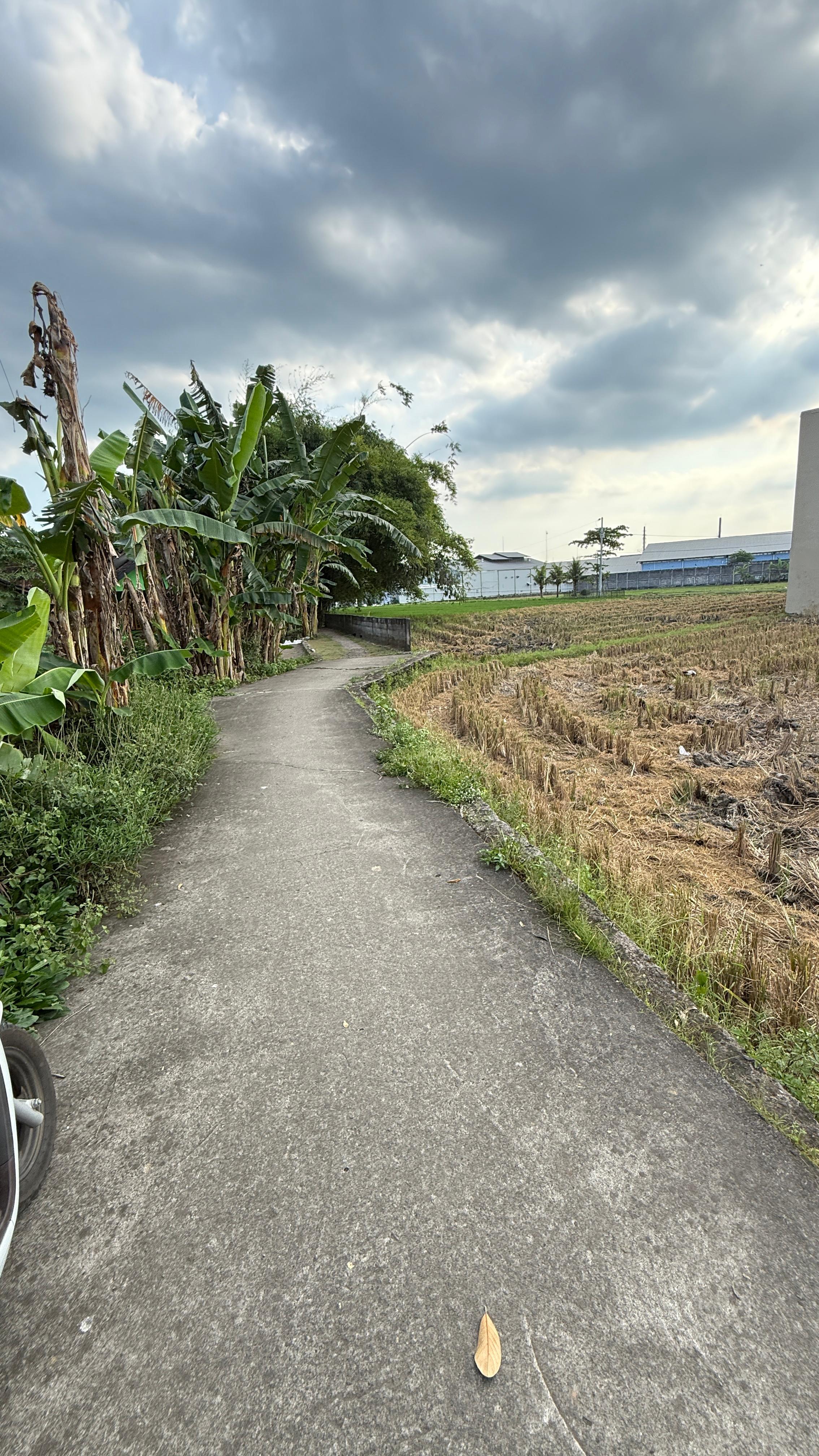 Tanah SHM Pekarangan