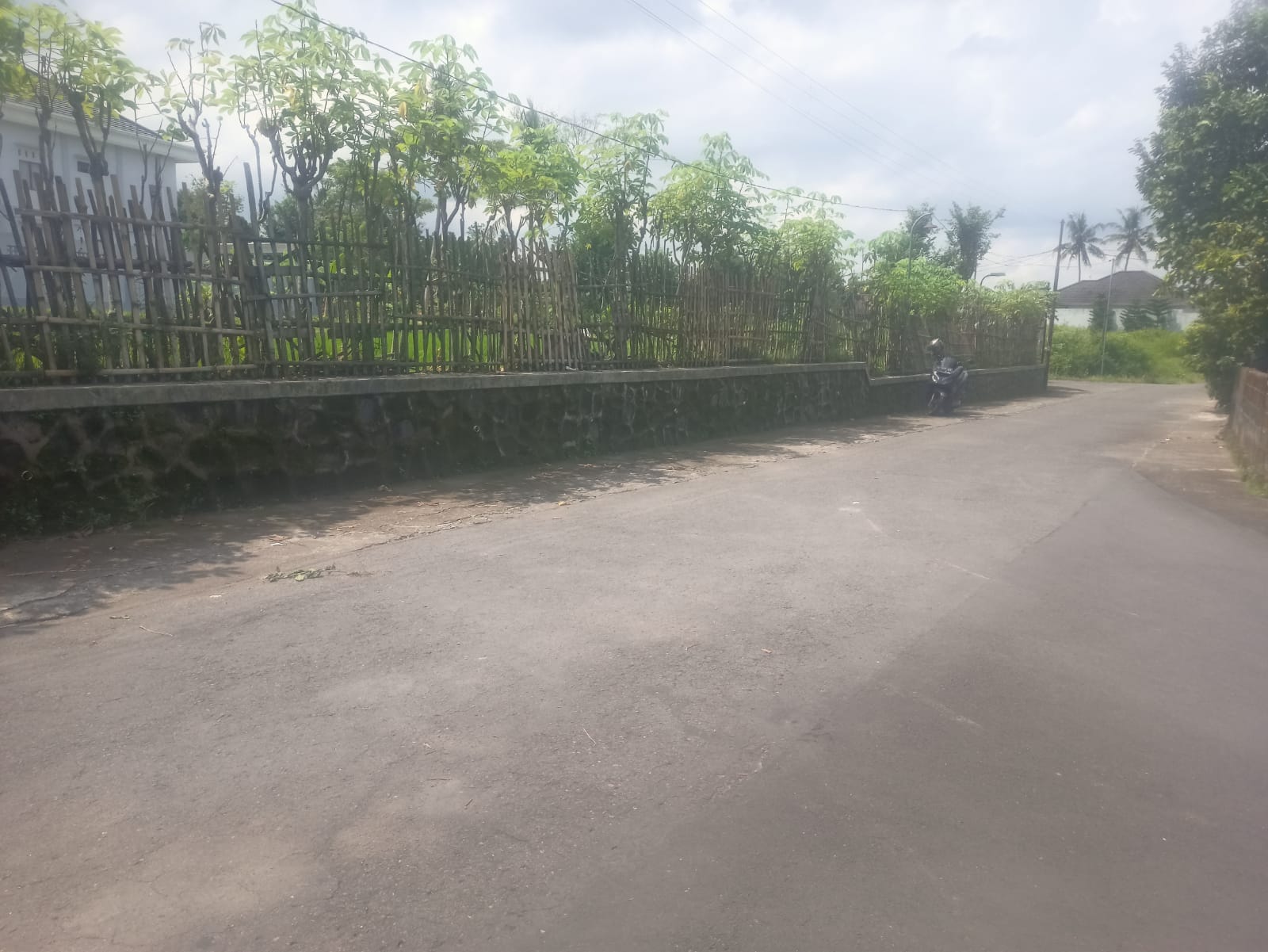 Tanah Sawah di Sukoharjo Ngaglik Sleman