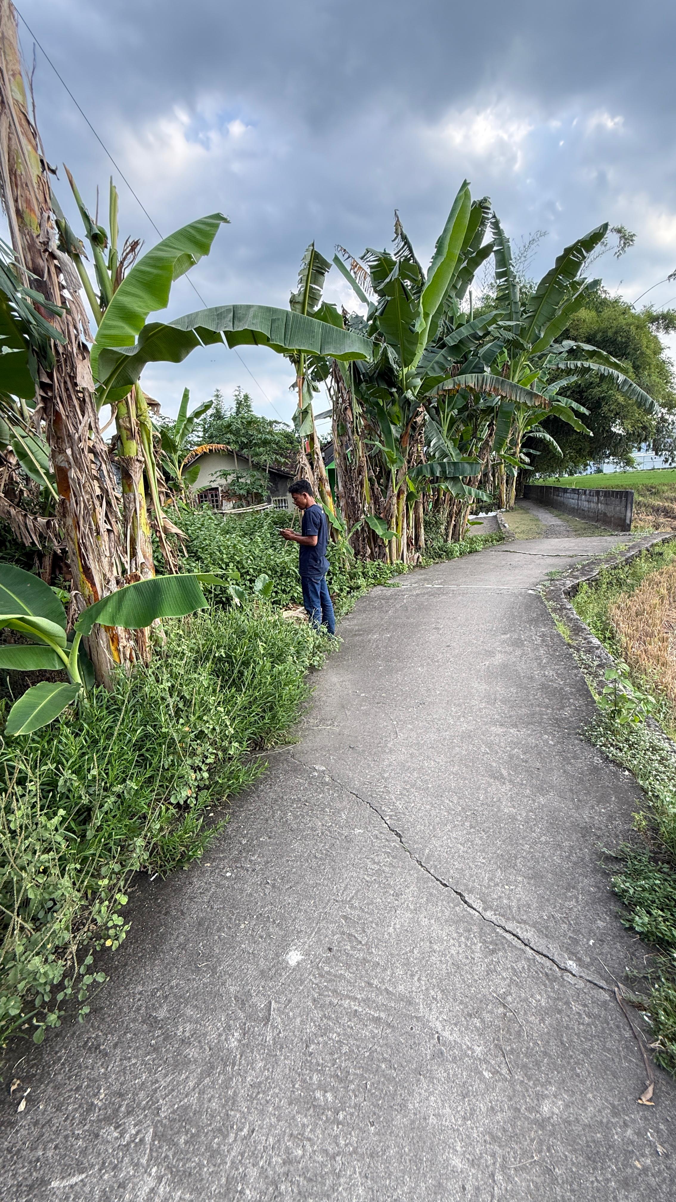 Tanah SHM Pekarangan