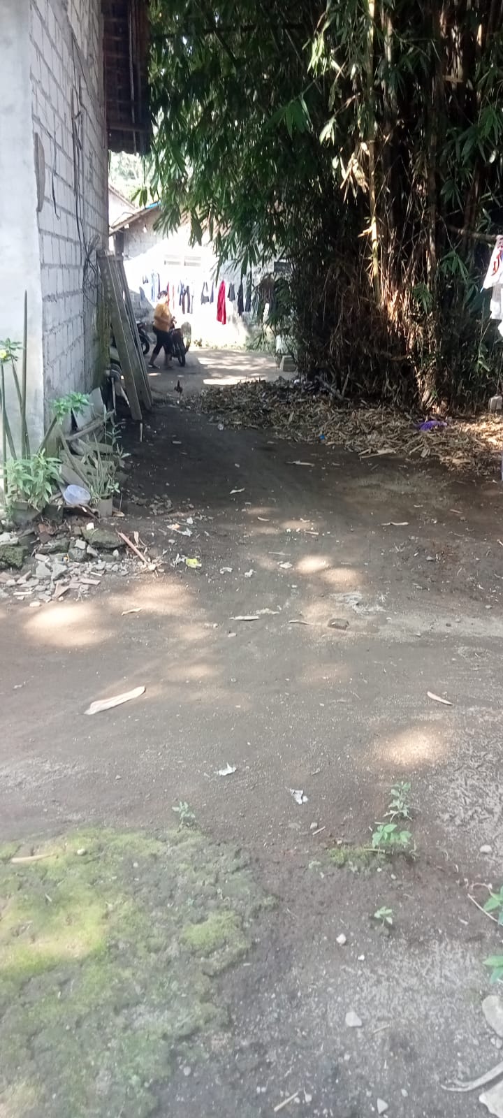 Dijual Pekarangan Luas 80 m ld 8 x 10 m lokasi Jabung Pandowoharjo Sleman