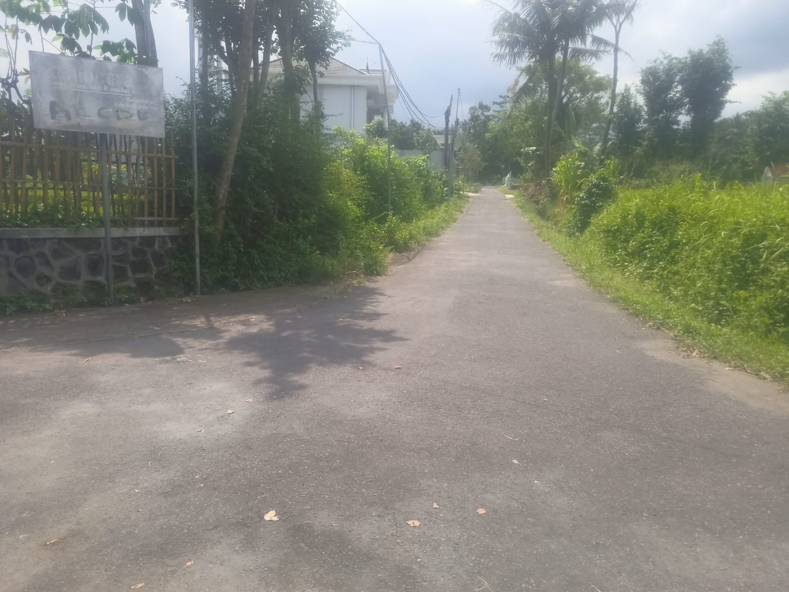 Tanah Sawah di Sukoharjo Ngaglik Sleman - Ngaglik, Sleman